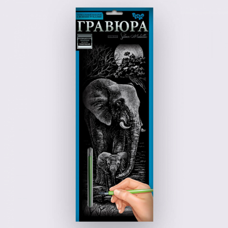 Набір для творчості "Гравюра панорама" Danko toys GR-В2-01z...12z,01s...12s