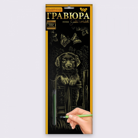 Набір для творчості "Гравюра панорама" Danko toys GR-В2-01z...12z,01s...12s