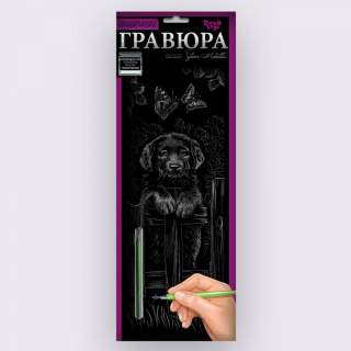 Набір для творчості "Гравюра панорама" Danko toys GR-В2-01z...12z,01s...12s