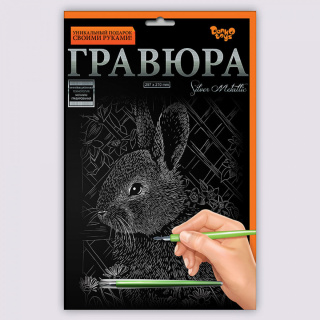 Набір для творчості "Гравюра А4" (36 видів) Danko toys ГРА4-02-01з...18з, 01с...18с